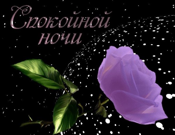 Добрых снов до завтра