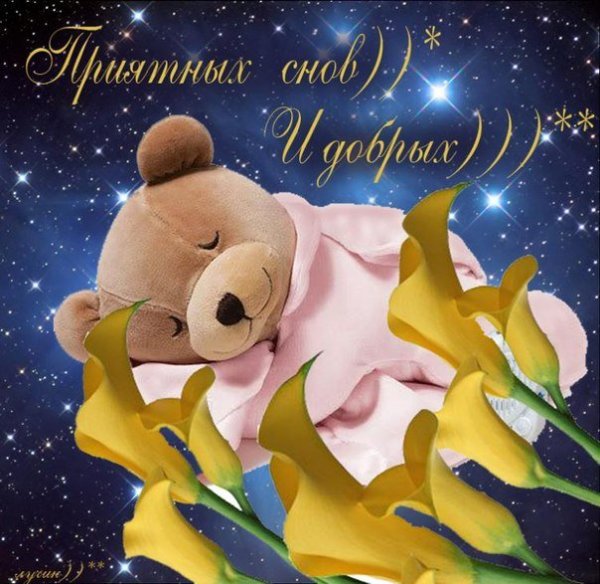 Самой доброй ночи