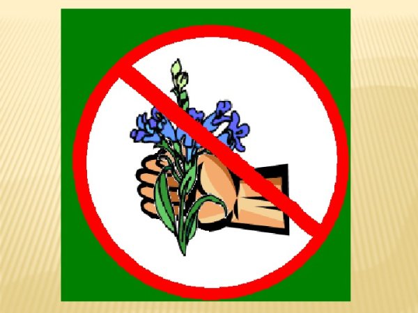 Знак не рвать растения