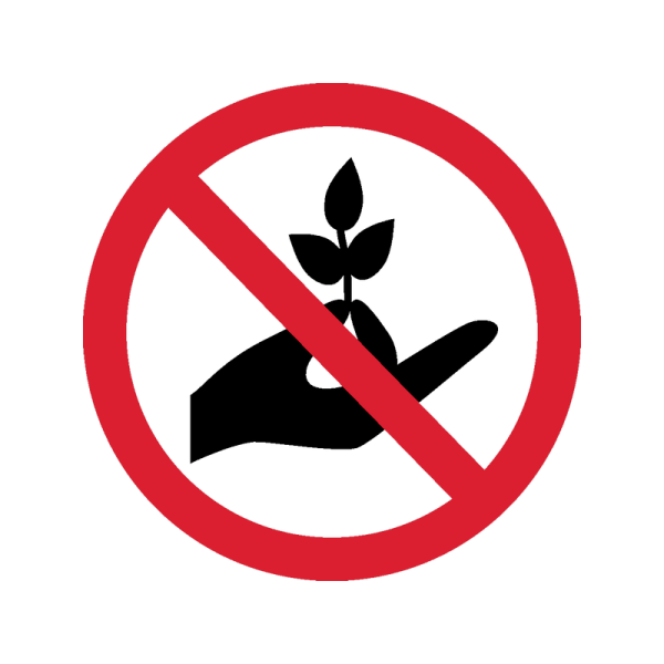 Берегите природу растения