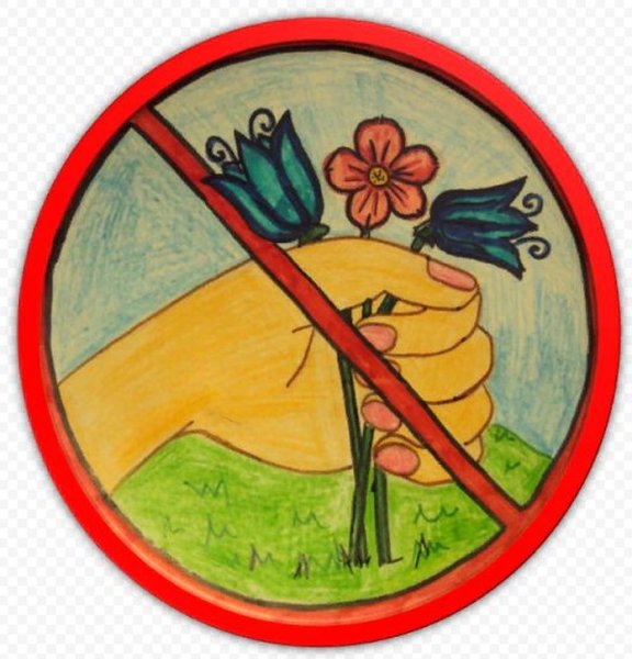 Знак не рвать растения