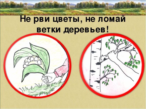 Не срывать цветы