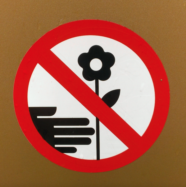 Знак запрещающий срывать цветы