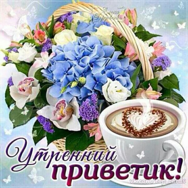 Утренний приветик