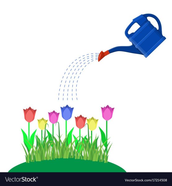 Поливаем лейкой прозрачном фоне для детей