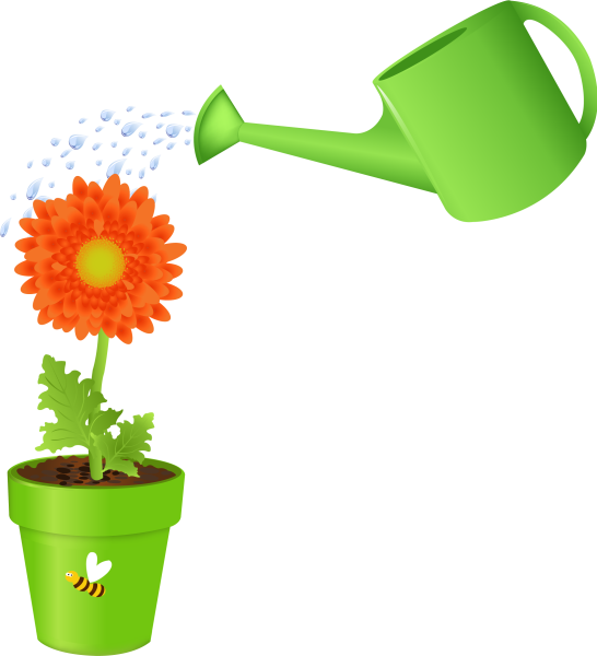 Цветы в лейке