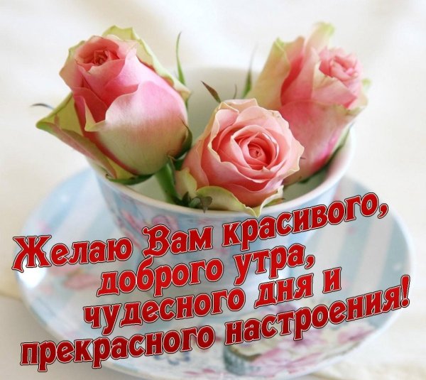 Стикеры с добрым утром и хорошего дня