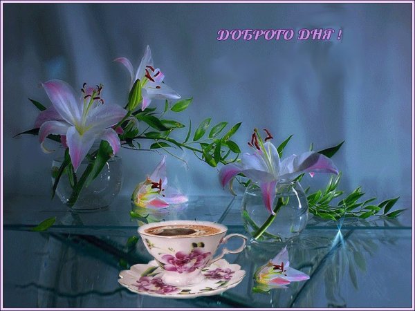 Доброго утра и замечательного дня