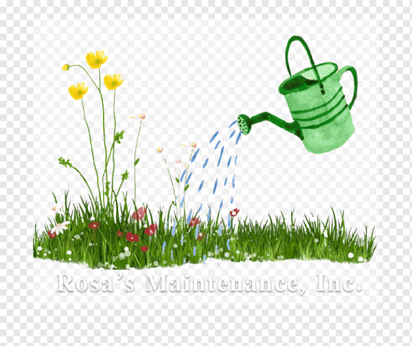 Лейка с водой