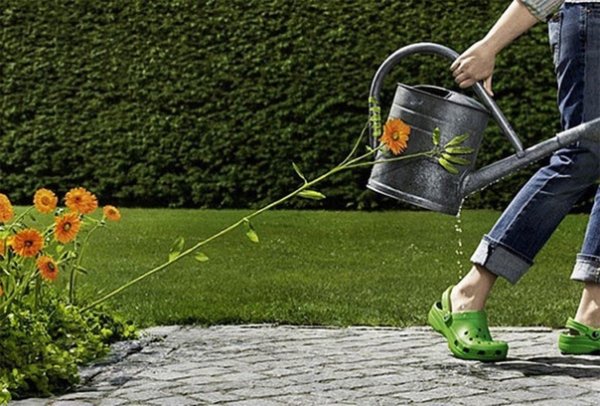 Лейка с цветами газон