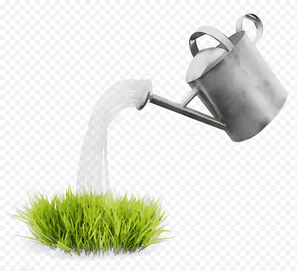 Поливает из лейки