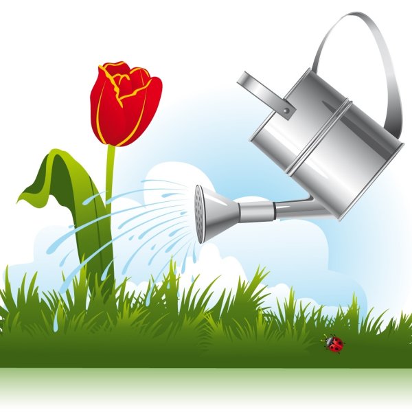 Лейка с водой