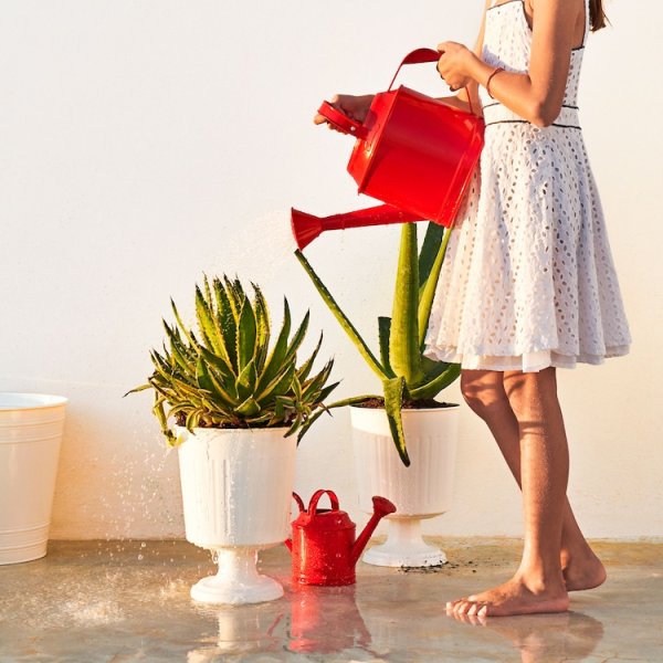 Девушка с лейкой