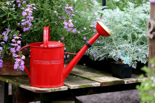 Лейка для огорода