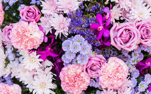 Розовая Сакура