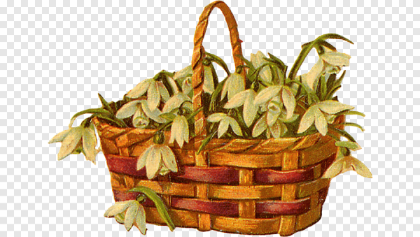 Рисуем подснежники в корзине