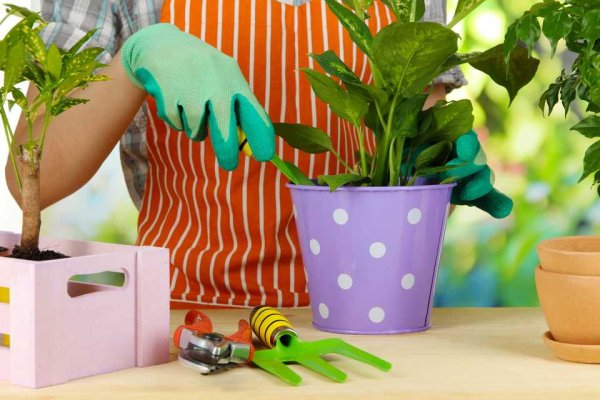 Ухаживание за растениями