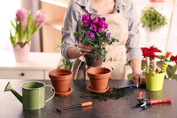 Ухаживание за растениями