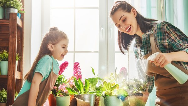 Девушка с комнатным цветком