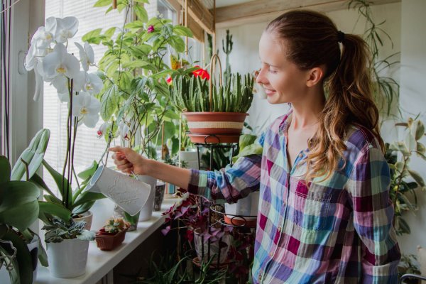 Фитодизайнер Фомин