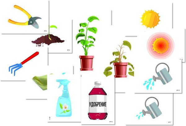 Модель-аппликация "уход за комнатными растениями"