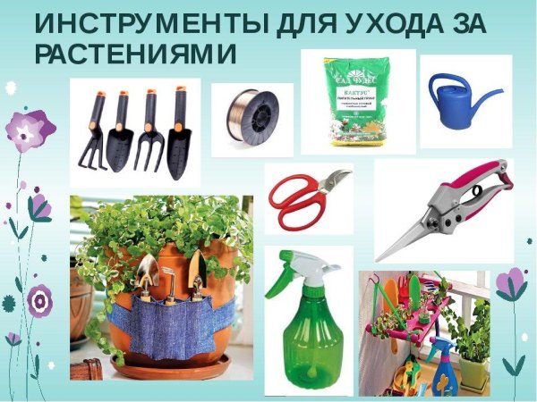Инструменты для ухода за комнатными цветами