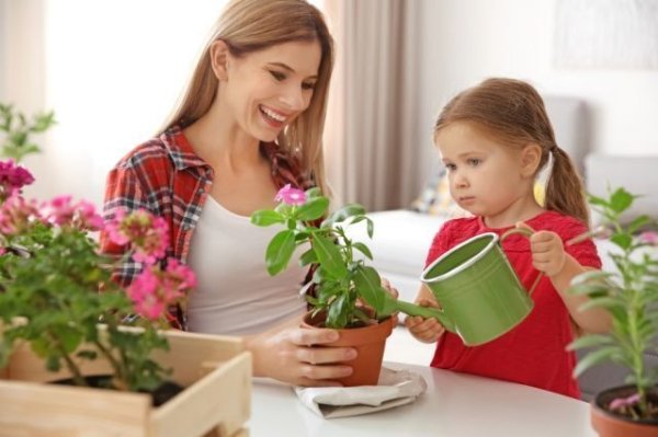 Комнатные растения для детей
