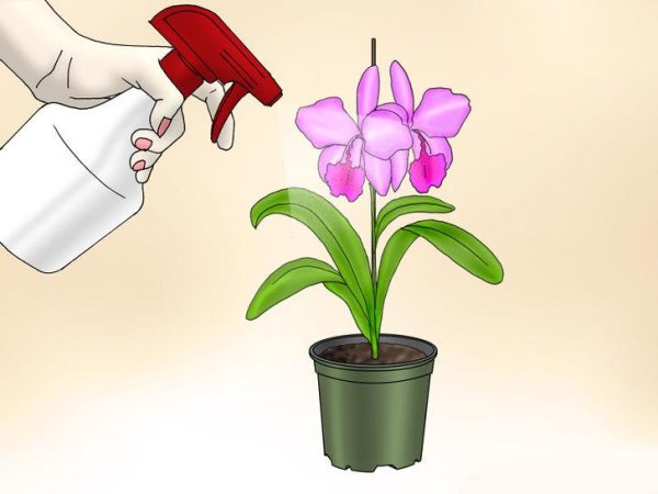 Рыхлить цветы