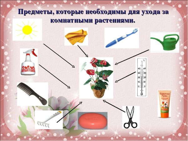 Предметы для ухода за цветами комнатными