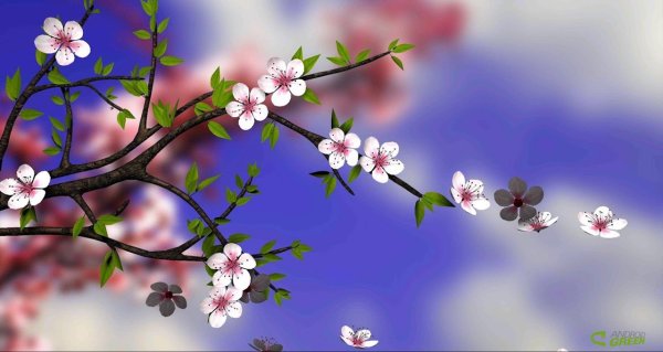 Нежные весенние цветы