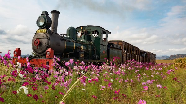 Красивый паровоз