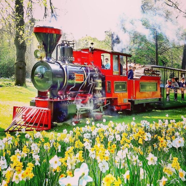 Поезд в цветах