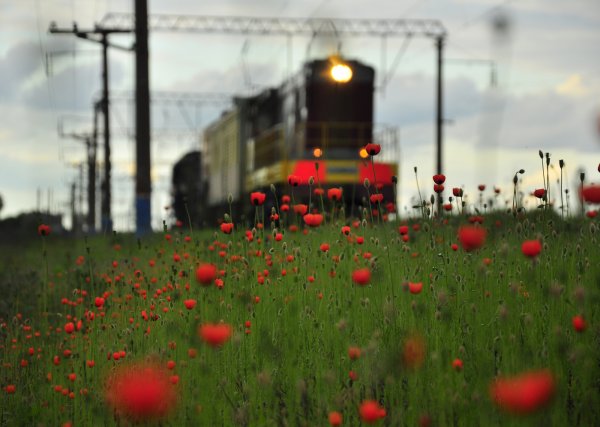 Паровоз весной