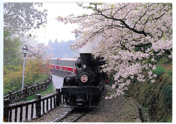 Поезд в цветочном поле