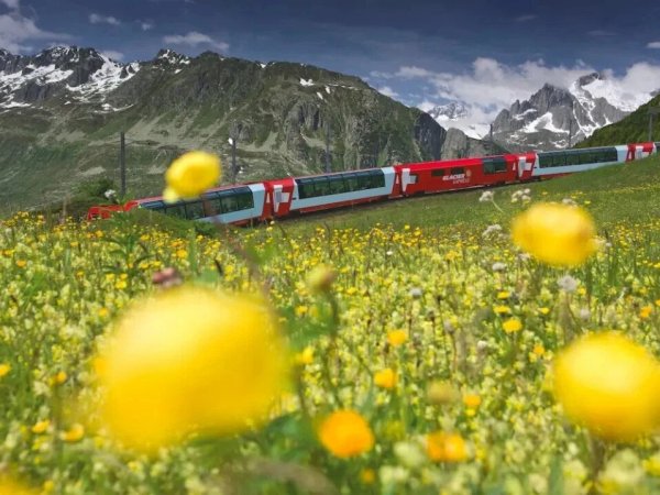 Красивый поезд в цветах