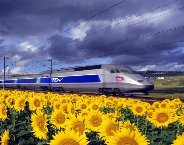 Поезд в цветах