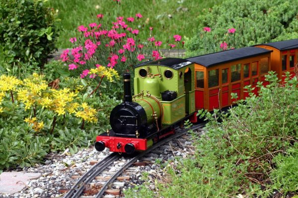 Железная дорога в цветах