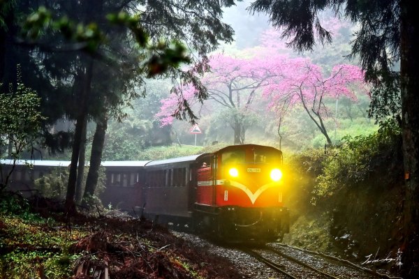 Поезд в цветах