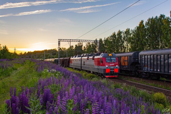 Железная дорога в цветах