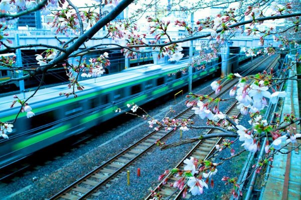 Тепловоз природа