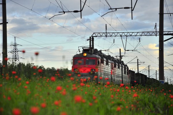 Поезд летом