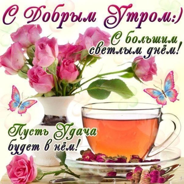 Открытки с пожеланиями доброго утра и хорошего дня