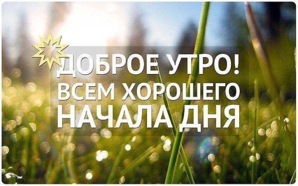 Всем доброе утро и хорошего дня
