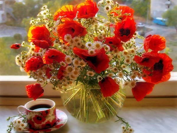 Доброе утро четверга