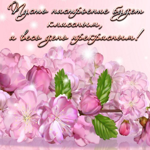 Доброе утро пионы