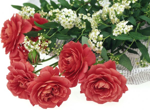 С добрым весенним субботним утром