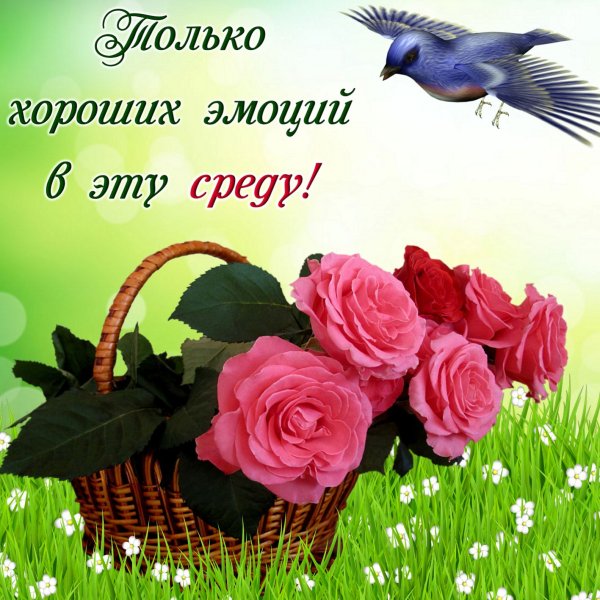 Прекрасного дня и настроения