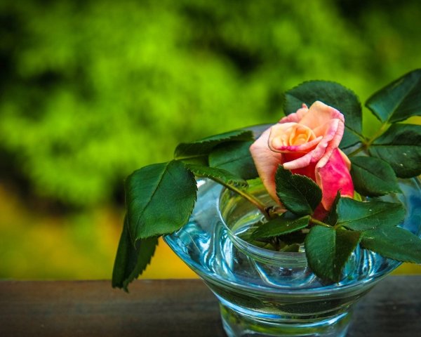 Доброе утро хорошего настроения