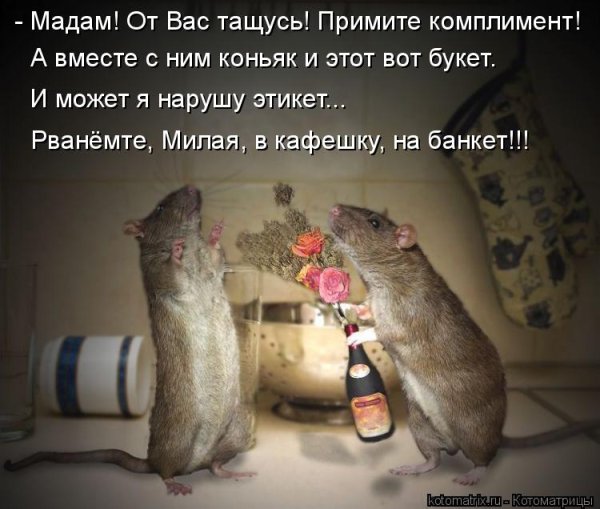 Мышь а вот и я