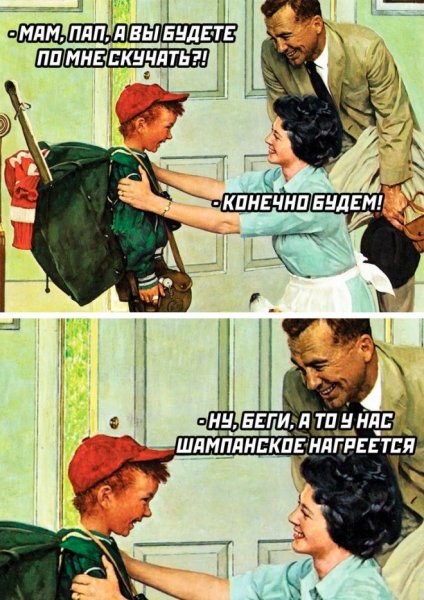 Цитаты женщина на метле